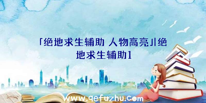 「绝地求生辅助